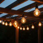 Festoon Light