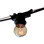 Festoon Light