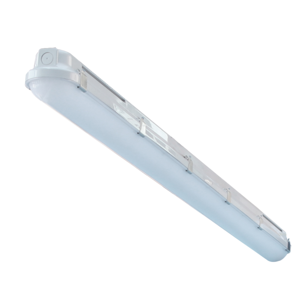 Fluorescent Light