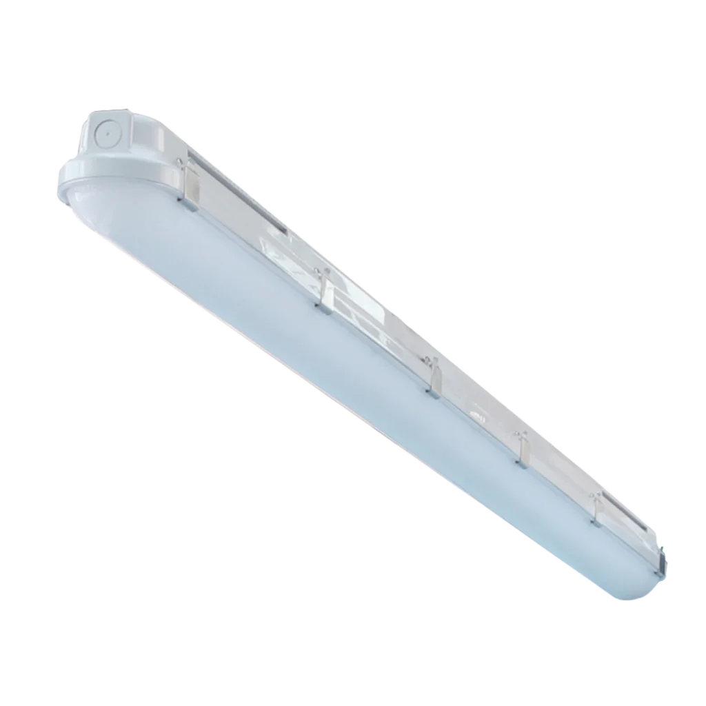Fluorescent Light
