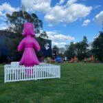 Breast Cancer Network Australia